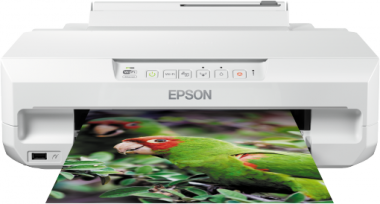 Epson Expression XP55